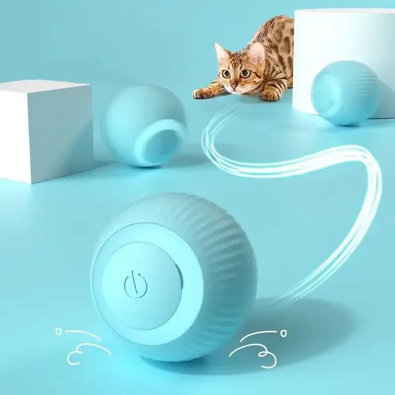 Balle de mouvement intelligente rechargeable pour chat